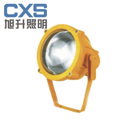 供应CBTC8200防爆投光灯，场馆防爆灯，投光灯